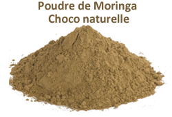 Moringa Choco Powder