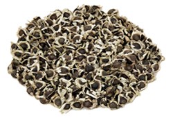 100 nos of Moringa Seeds