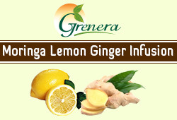 Moringa Lemon Ginger Infusion
